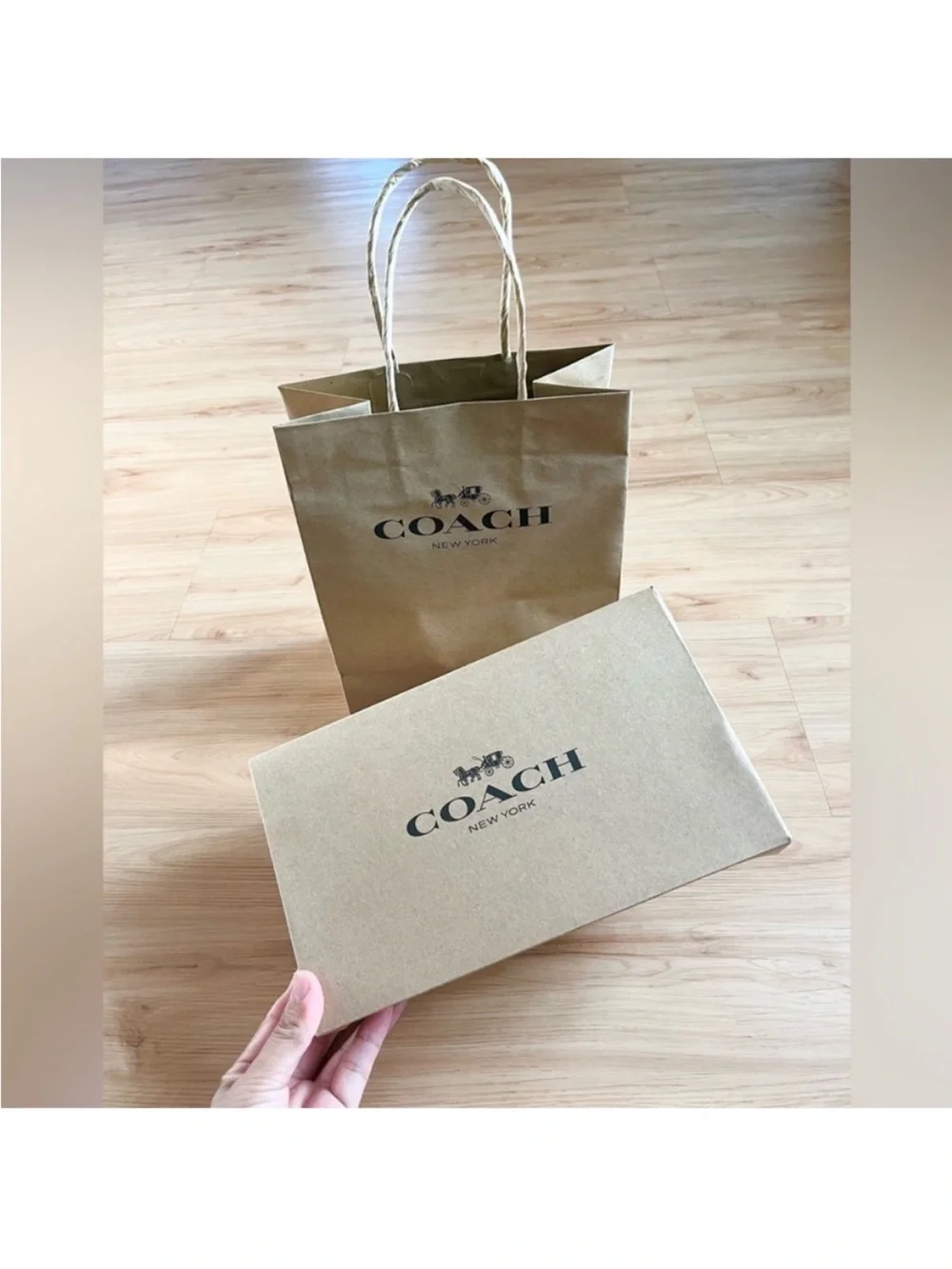 Coach shopping bag + Gift Box (Small size)